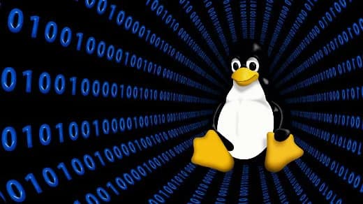 Essential Linux Commands